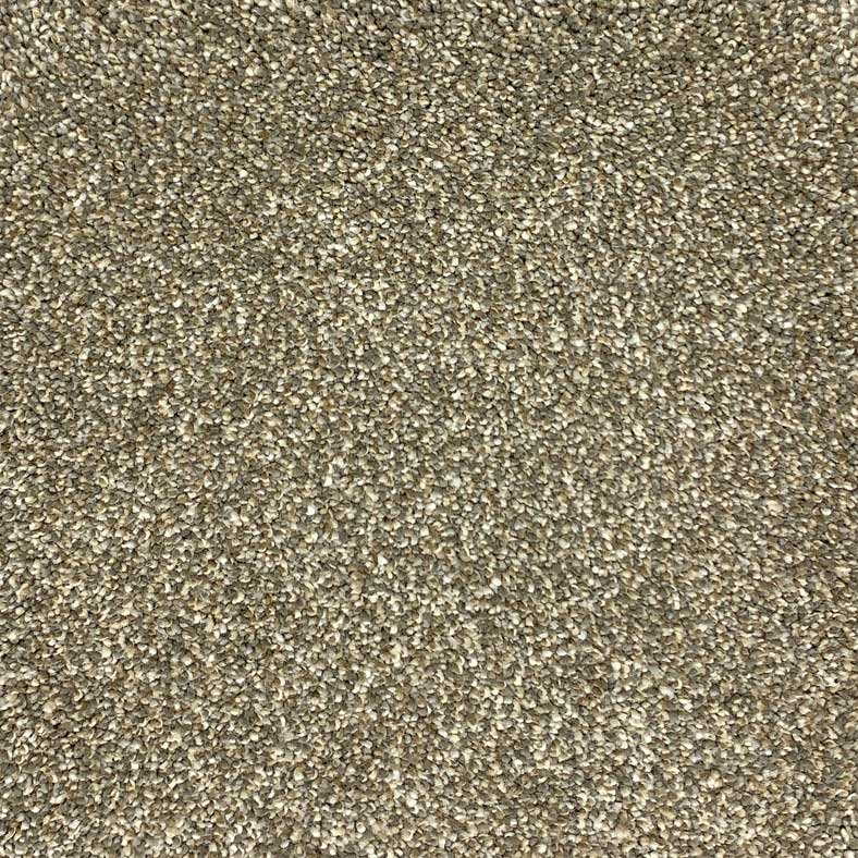 Pacific Coast II carpet floors from Carpet Liquidators