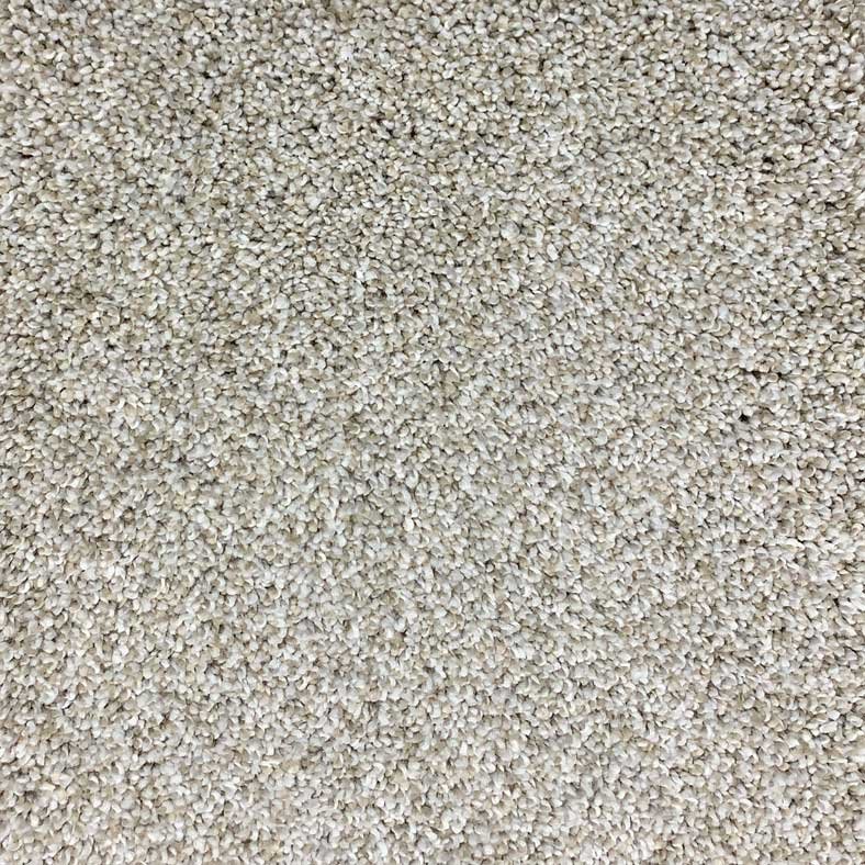 Contemplation carpet floors from Carpet Liquidators